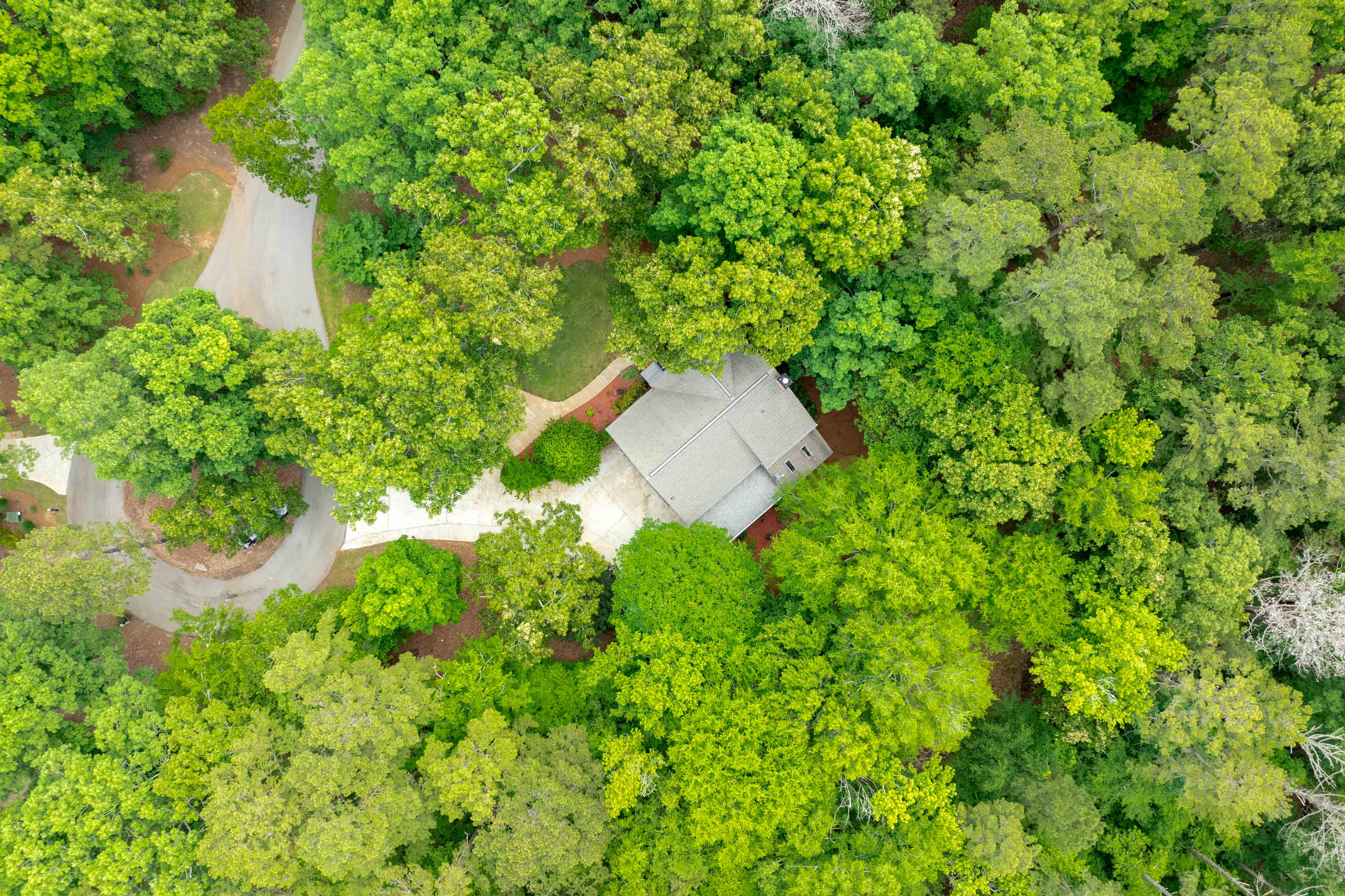 1020 Tallesse Trail image 32